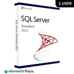 Microsoft SQL Server 2022 Standard Edition 1 User License