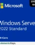 Windows Server 2022 Standard 24 core MAK 100 user
