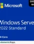 Windows Server 2022 Standard 24 core MAK 500 user