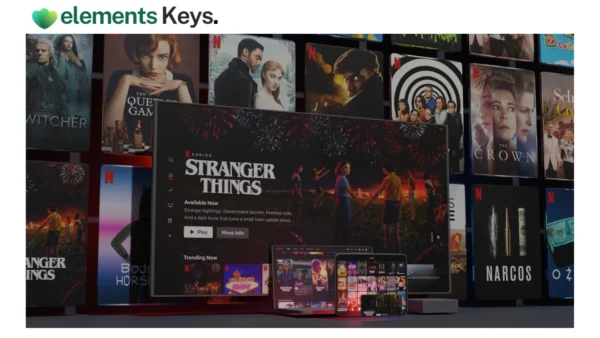 Netflix Account Premium 4K + HDR – 3 Month Subscription