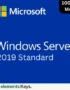 Windows Server 2019 Standard mak 100 user